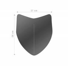  AERO TRIUMPH SPEED TRIPLE 05-12 BARRACUDA fume
