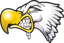 EAGLE STICKER ONE DESIGN
