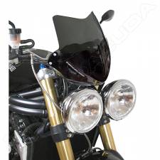  AERO TRIUMPH SPEED TRIPLE 05-12 BARRACUDA fume